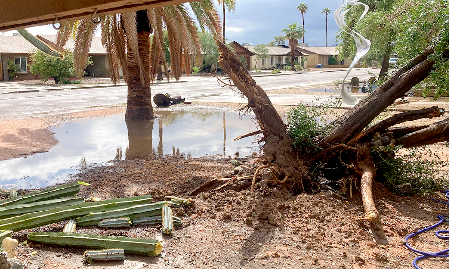 Photos of storm conditions and consequential damage taken by ADWR employees