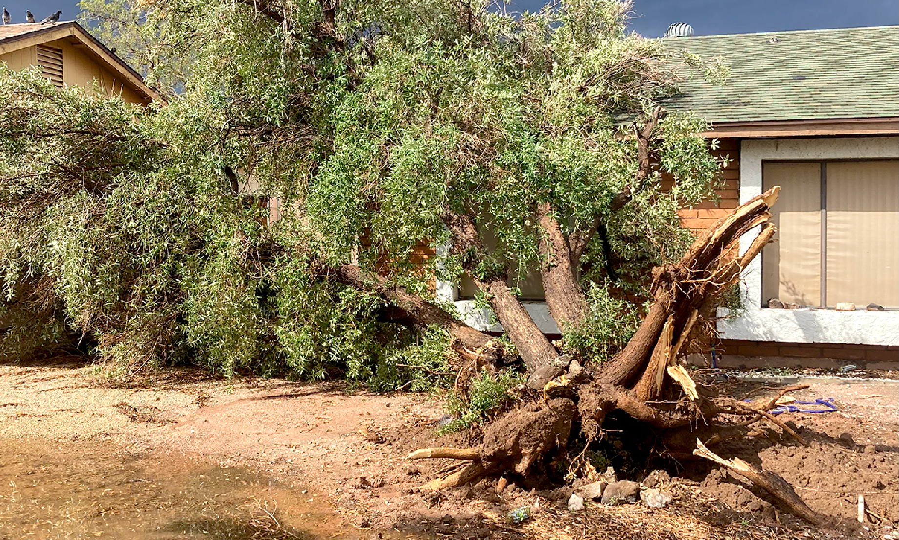 Photos of storm conditions and consequential damage taken by ADWR employees