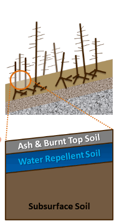Ash and burnt top soil is on top of water repellant soil