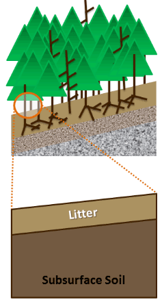 Before a fire the soil has litter, organic materials over the subsurface soil.