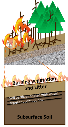 During a fire there is burnt vegetation and top soil. Also creating a water repellent soil.