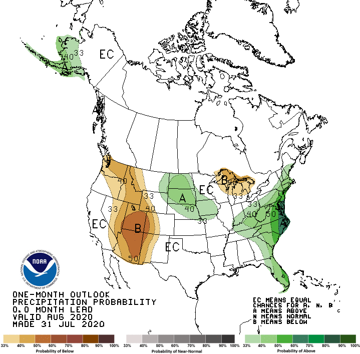 One-Month Outlook Precipitation Probability
