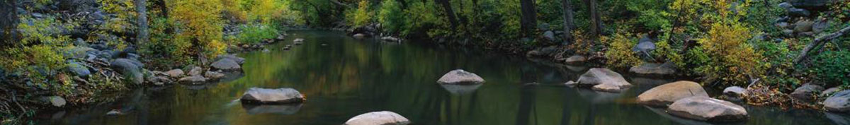 Stream in a green wooded area with medium boulders in the foreground