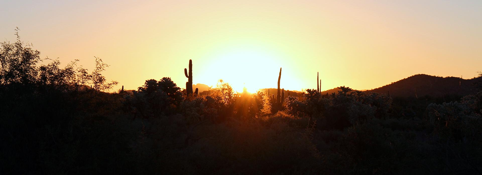 Sunset over the Arizona desert. 