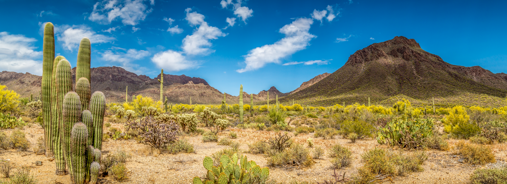 Image of Arizona desert landscape