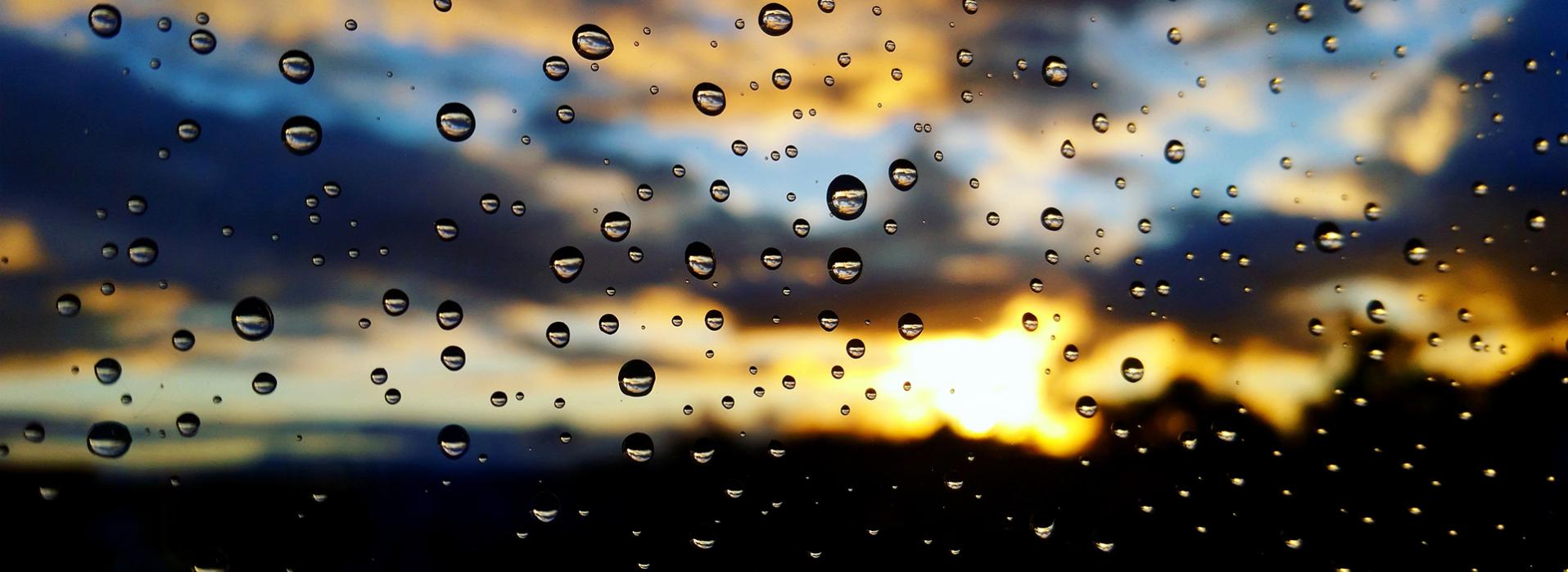 Waterdrops in focus with the background blurry. 