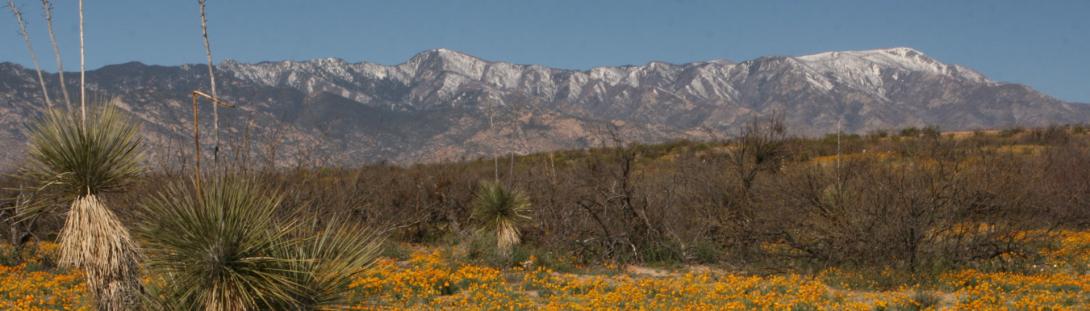 Photo in San Simon, photo courtesy of BLM