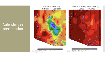 Calendar Year Precipitation - and the Percent of Average Precipitation