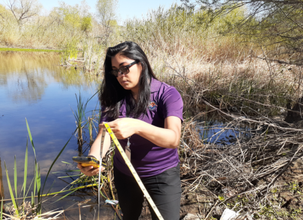 Arizona Water Professional at work