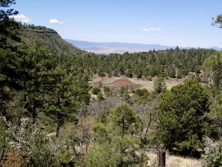 Woodchute Trail, Jerome