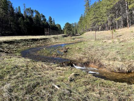 One small headcut below the 44 canyon exclosure (Credit: USDA Forest Service/Coconino National Forest)