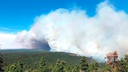 This April 29 aerial photo provided by the US Forest Service shows a wildfire burning in north-central Arizona.