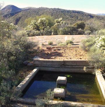 Desert with water