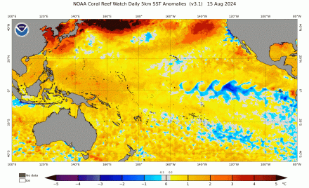 Cooler than normal SST’s having slowly been building along the equatorial Pacific signaling an emerging La Nina